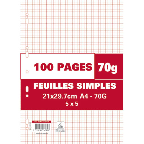 Sachet de 100 pages copies simples grand format A4 petits carreaux 5x5 70g  perforées