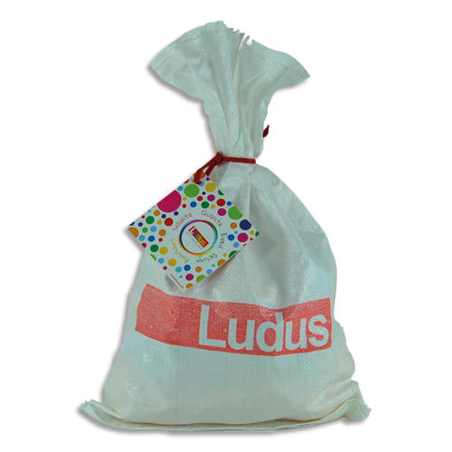 LUDUS Sachet de 80 briques de construction en polypro expansé photo du produit Principale L