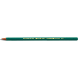 BIC Ecriture Evolution Original Crayons à Papier Gris - Pointe HB photo du produit