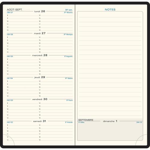 Exacompta - 1 Agenda Semainier de Poche - Espace 17 - Janvier 2024 à  Décembre 2024 - Format : 9 x 17,5 cm - Une Semaine sur 2 Pages -  Couvertures Aléatoires : : Fournitures de bureau