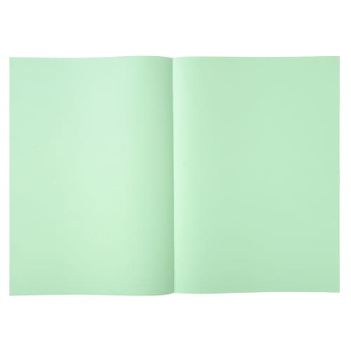 EXACOMPTA Paquet de 250 sous-chemises SUPER 60 en carte 60 grammes coloris Vert clair photo du produit Secondaire 2 L