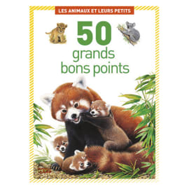 LITO DIFFUSION Boîte de 50 grandes image thème les animaux et leurs petits photo du produit