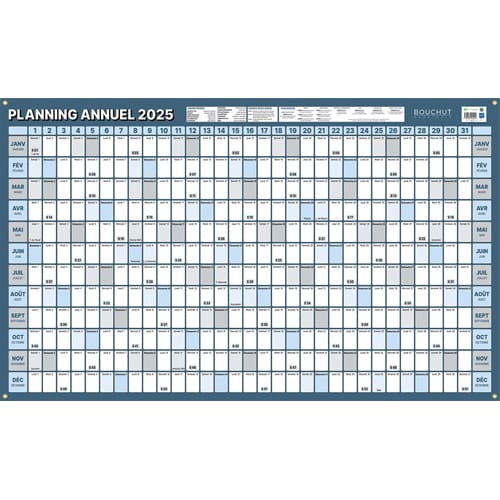 CBG Planning annuel de Janvier à Décembre 2024, effaçable à sec, 60x99cm, 4  œillets