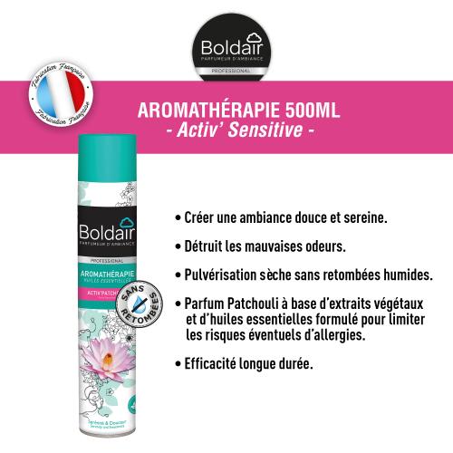 BOLDAIR Désodorisant d'atmosphère Activ 500 ml parfum Activ Sensitive spécial personnes sensibles Pro photo du produit Secondaire 1 L