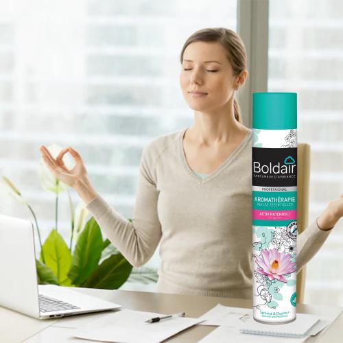 BOLDAIR Désodorisant d'atmosphère Activ 500 ml parfum Activ Sensitive spécial personnes sensibles Pro photo du produit Secondaire 2 L