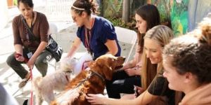 Mental Health/Counseling Center