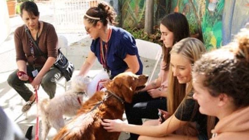 Mental Health/Counseling Center