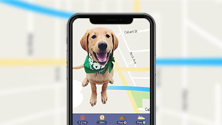 Wag Advrtas Wag Advrtas