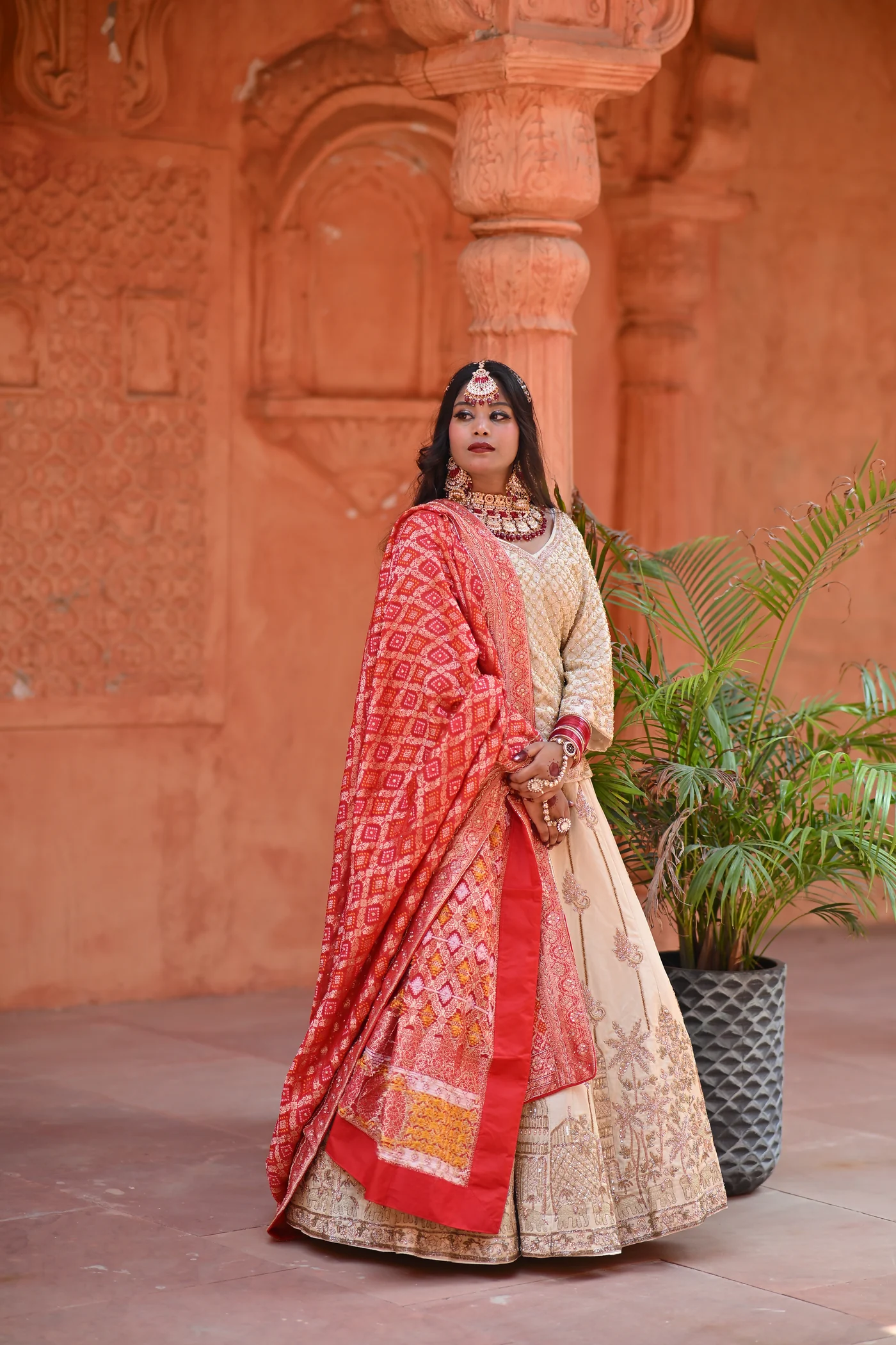 The Saree Edit