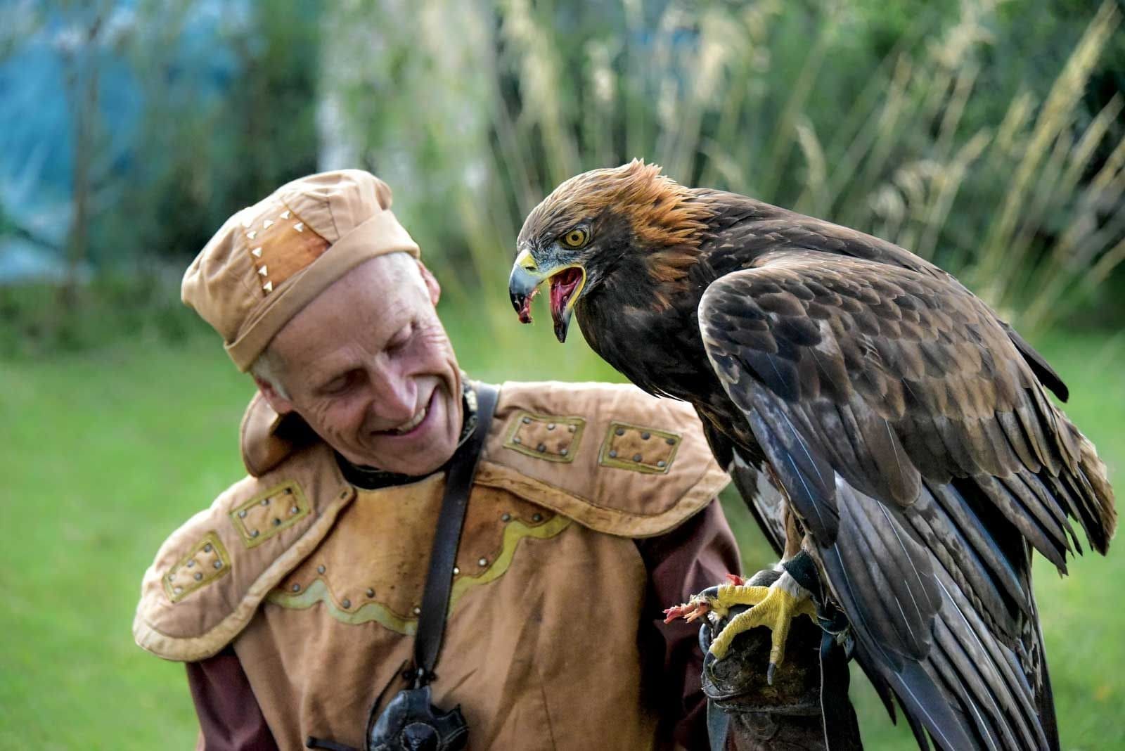 Falconry Show in Almarasan