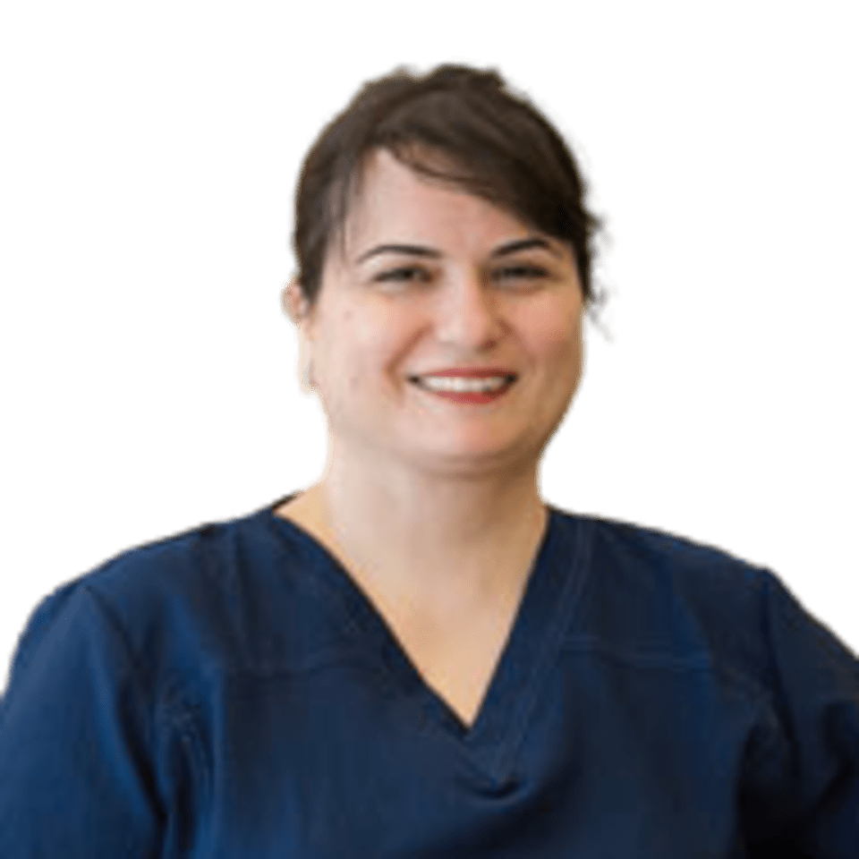 Iran Hosseini, DDS, Cosmetic Dentistry Pasadena, TX