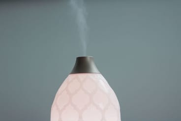 Should A Humidifier Be Part Of Your Skincare Routine?