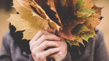 Cosmetic Surgery By Season: Invasive and Non-Invasive Procedures For Fall