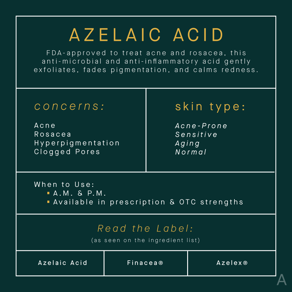 Dyrke motion Påvirke Gylden Why Azelaic Acid Should Be Part Of Your Skincare Routine | The AEDITION