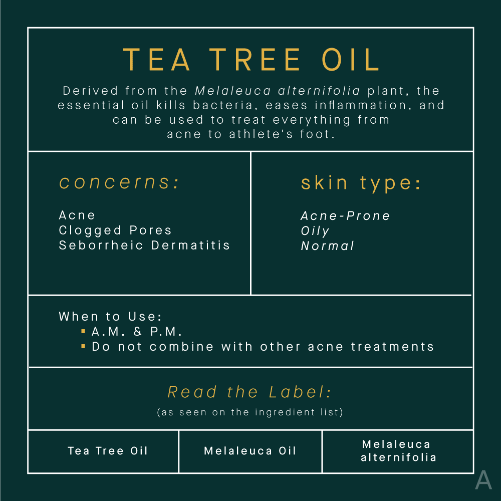 Read The Label: All Your Tea Tree Oil Questions Answered | The AEDITION