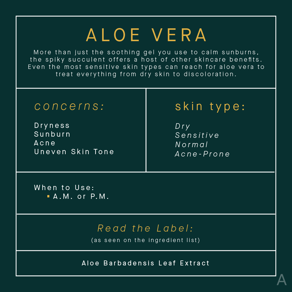 Read The Label What You Need To Know About Aloe Vera In Skincare The Aedition 1362