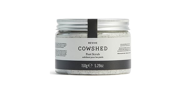 AEDIT-Cowshed