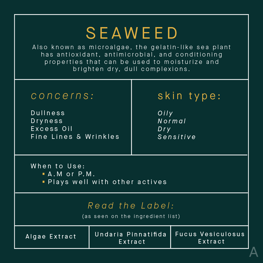 Seaweed Skincare Benefits Infographic