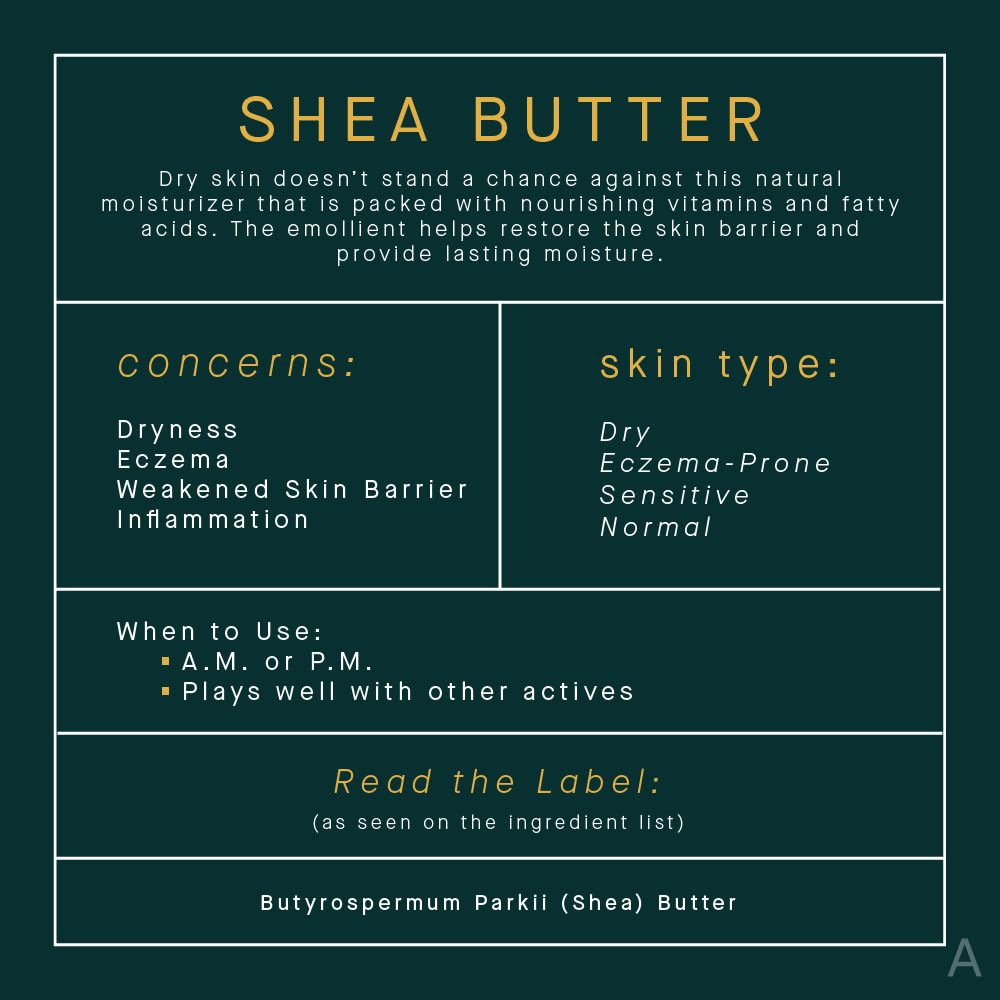 Shea Butter Skincare Benefits Infographic