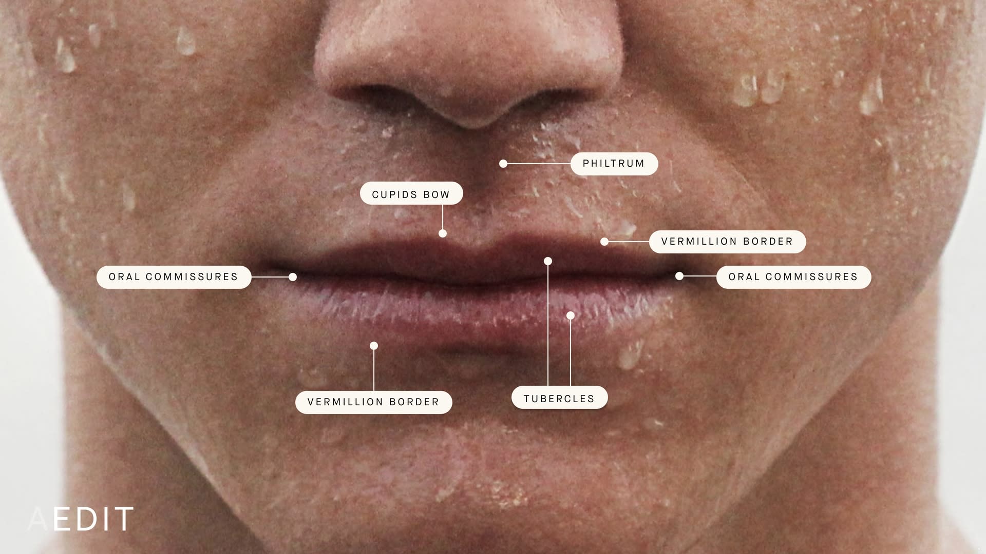 bottom lip quiver meaning