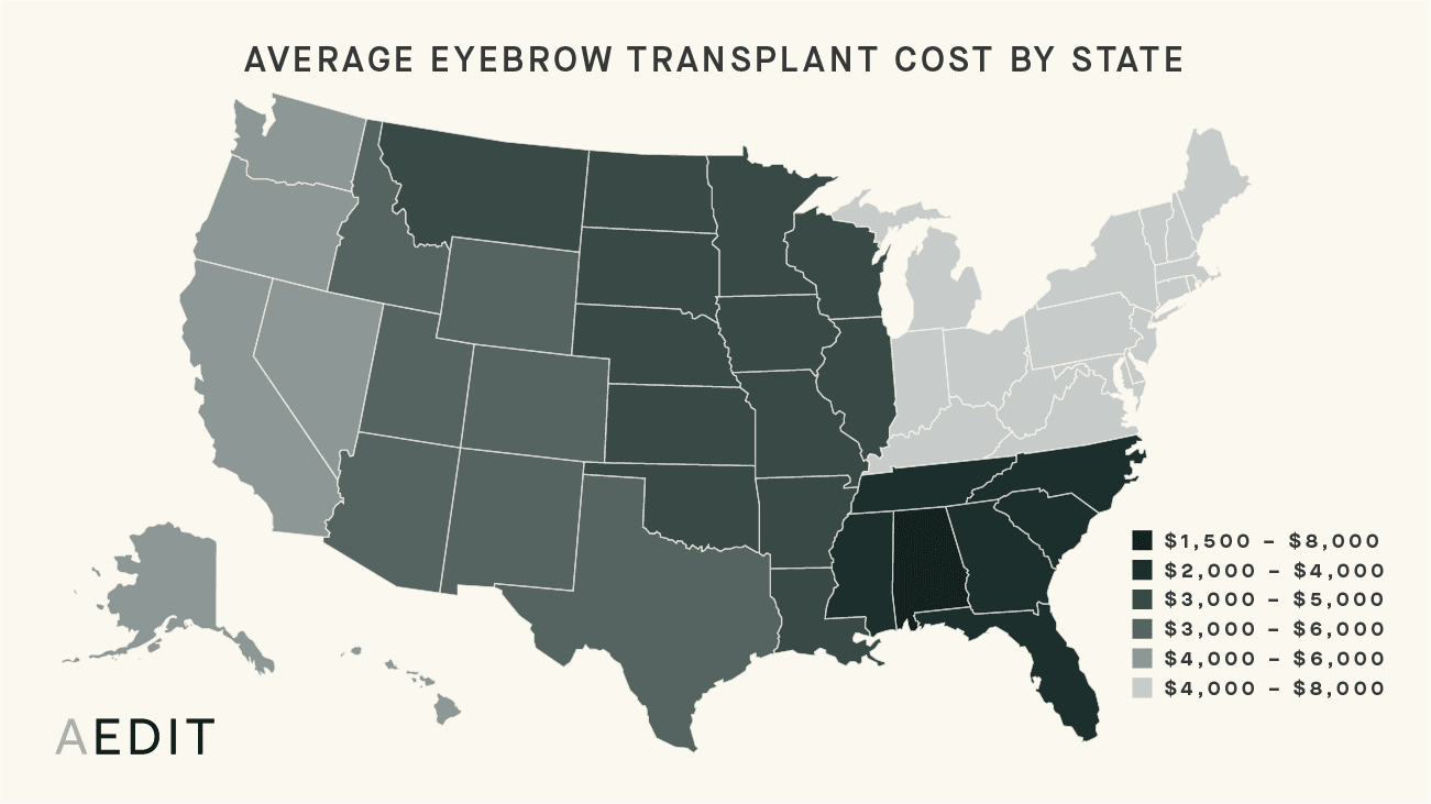 AEDIT Average Eyebrow Transplant Procedure Costs By State Chart