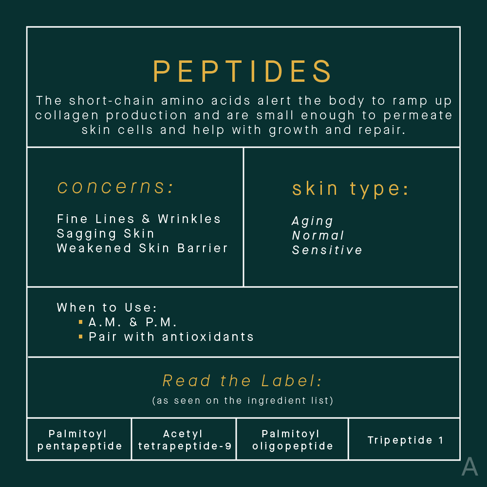 Peptides-Skincare-Benefits-Infographic.png