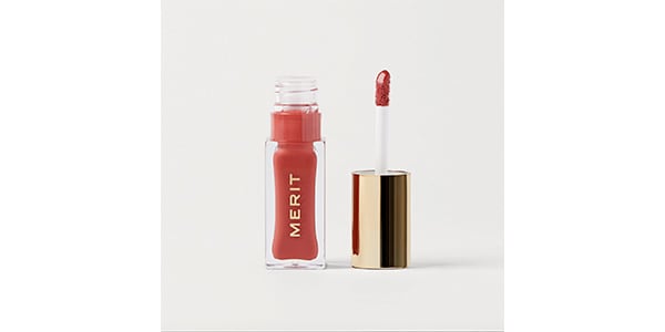 AEDIT-Merit