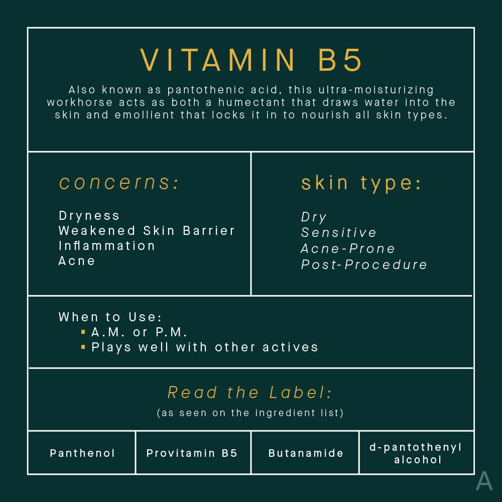 Vitamin B5 (Pantothenic Acid) Skincare Benefits Infographic