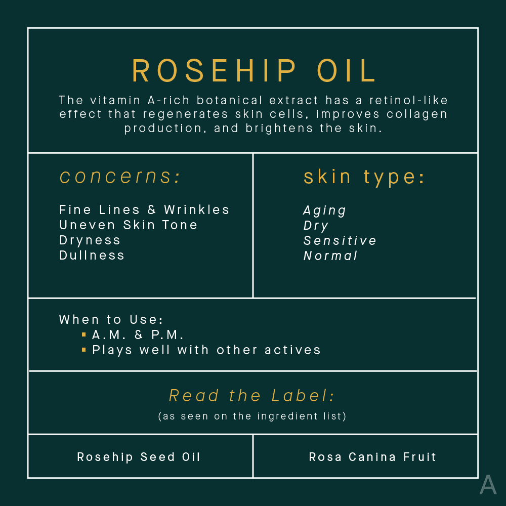 Rosehip Oil Skincare Benefits Infographic