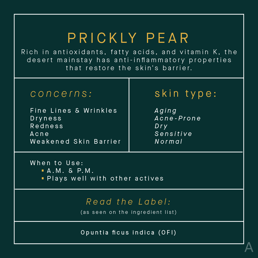 Prickly Pear Skincare Benefits Infographic