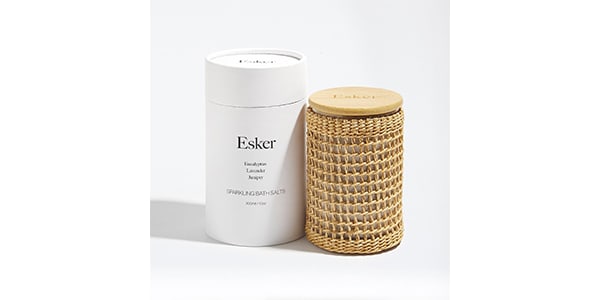 AEDIT-Esker