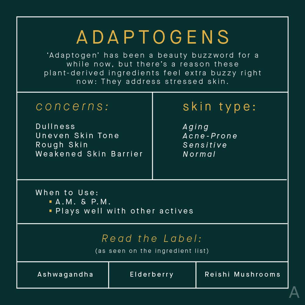 Topical Adaptogens Skincare Benefits Infographic