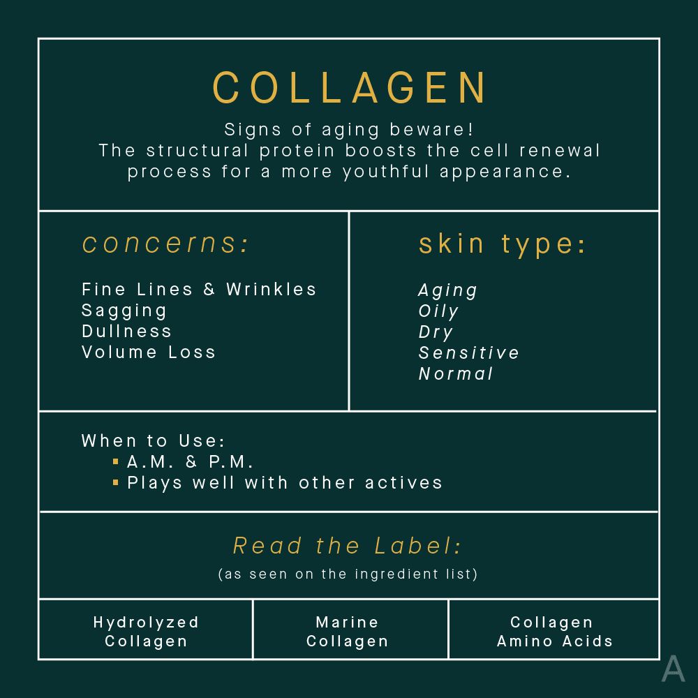 Topical Collagen Skincare Benefits Infographic