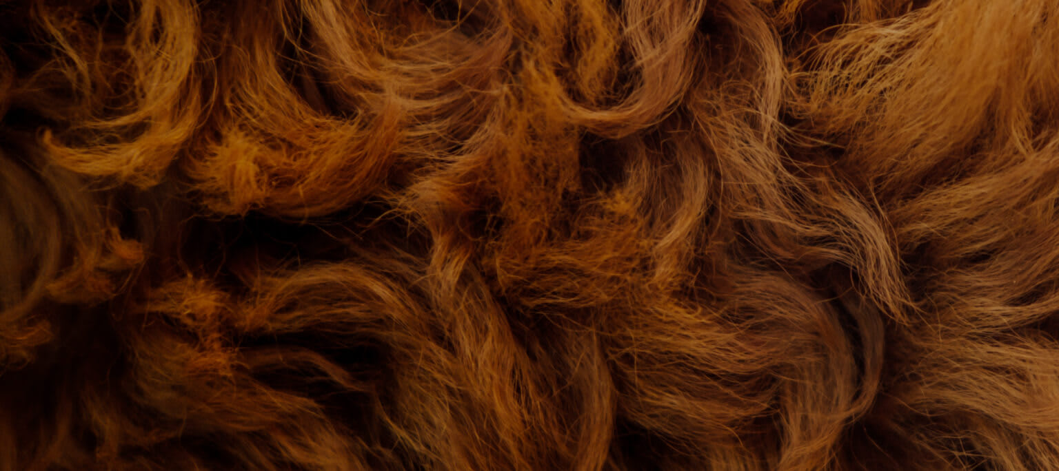Unwanted Hair