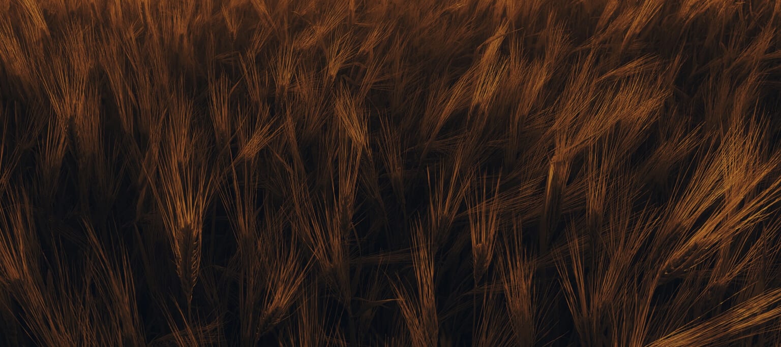 Hair Loss