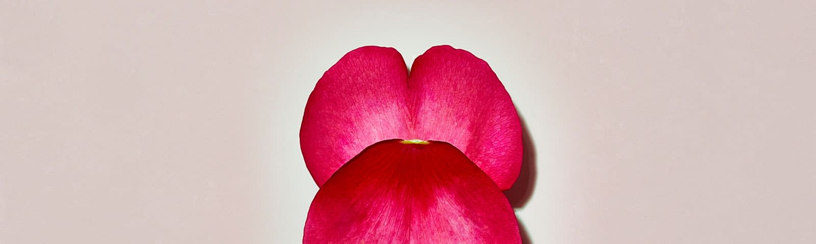 Lip Shape