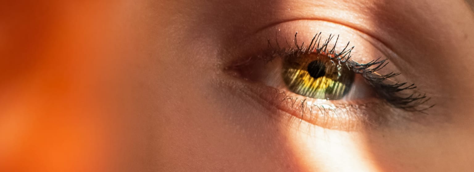 A model's eye
