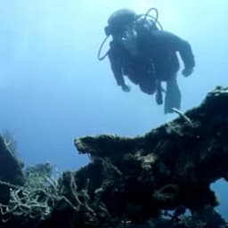 A scuba diver exploring the underwater coral reef, surrounded by a blue hazy environment.