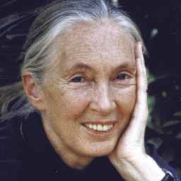 Jane Goodall