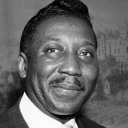 Muddy Waters In London