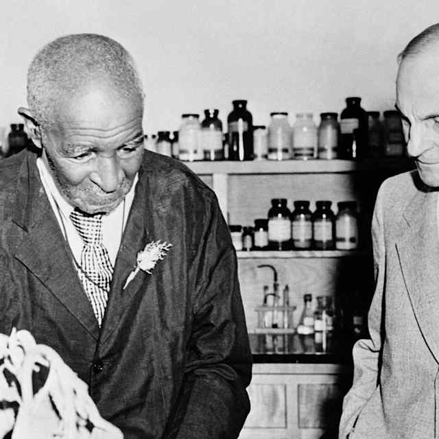George Washington Carver and Henry Ford