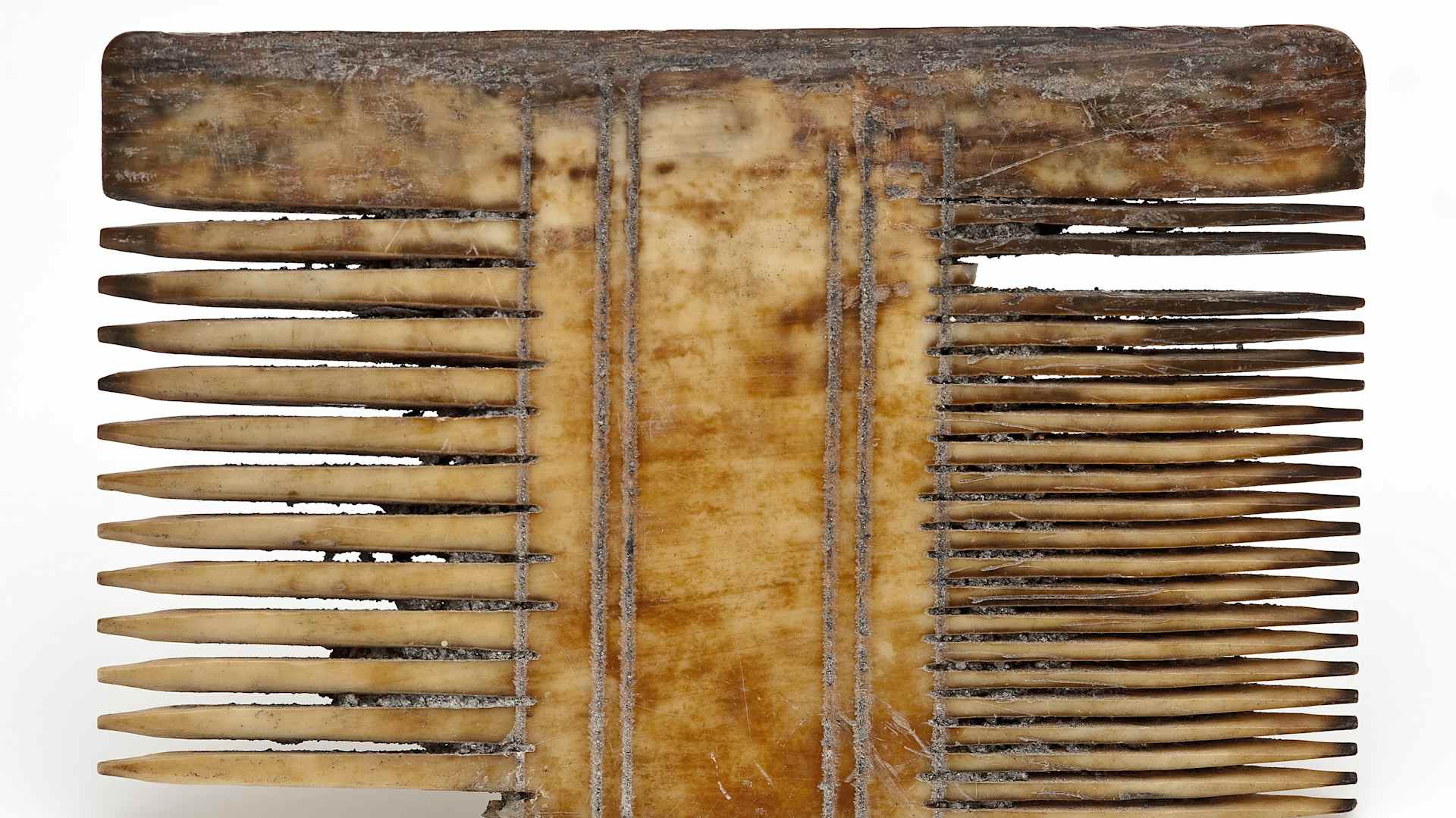 Legs comb with teeth on both sides and simple linear decoration