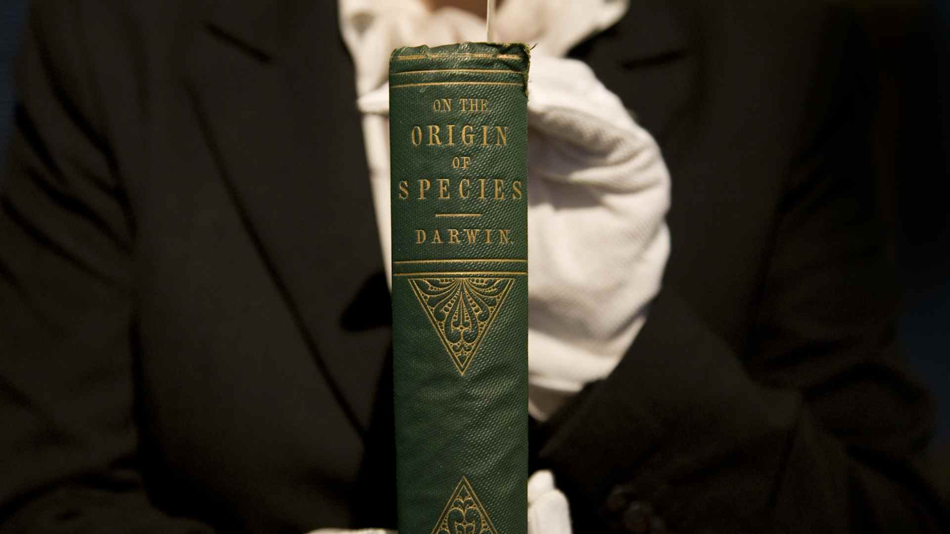 Origin Of Species First Edition - London