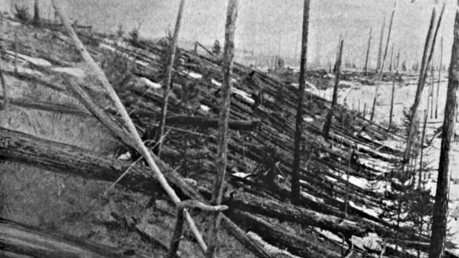 Fallen trees from the 1908 Tunguska explosion at Tunguska in Siberia.