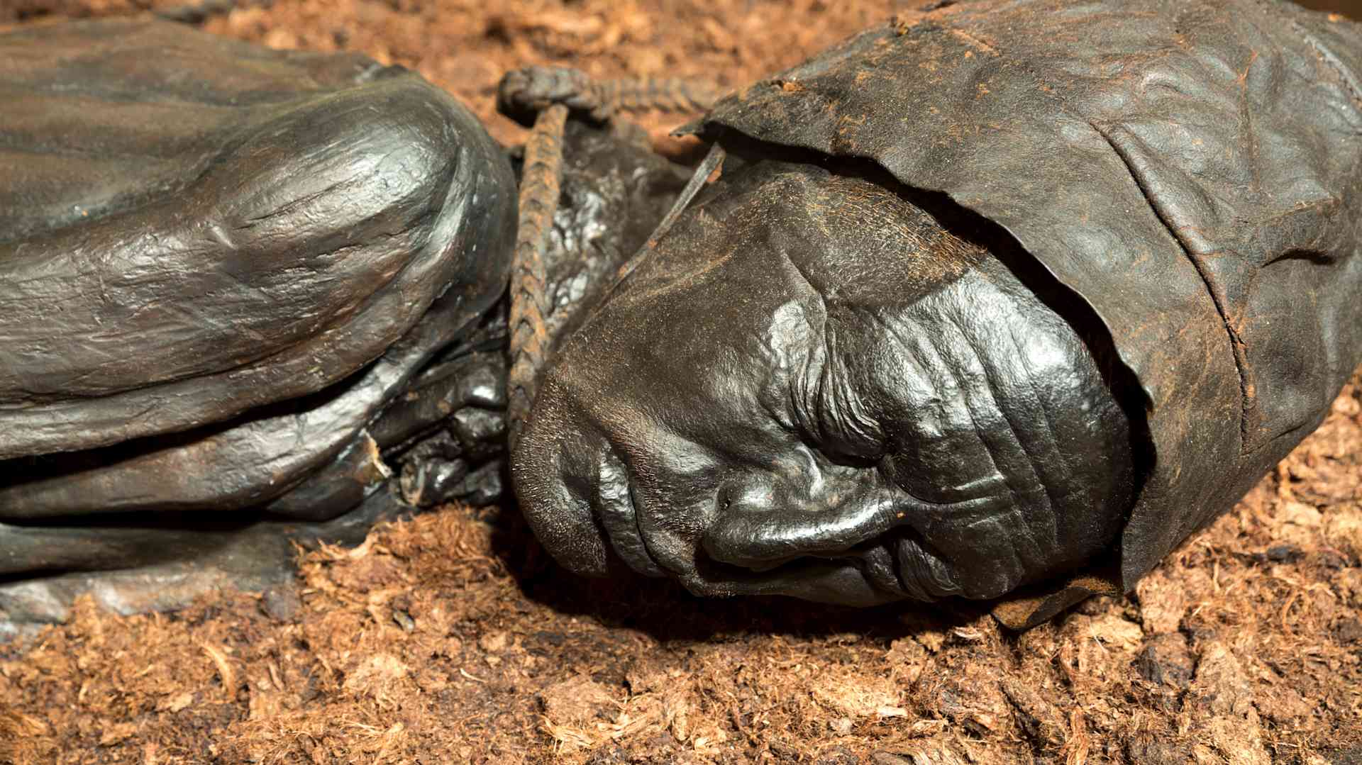 Tollund Man, Bog Body at Silkeborg Museum, Denmark