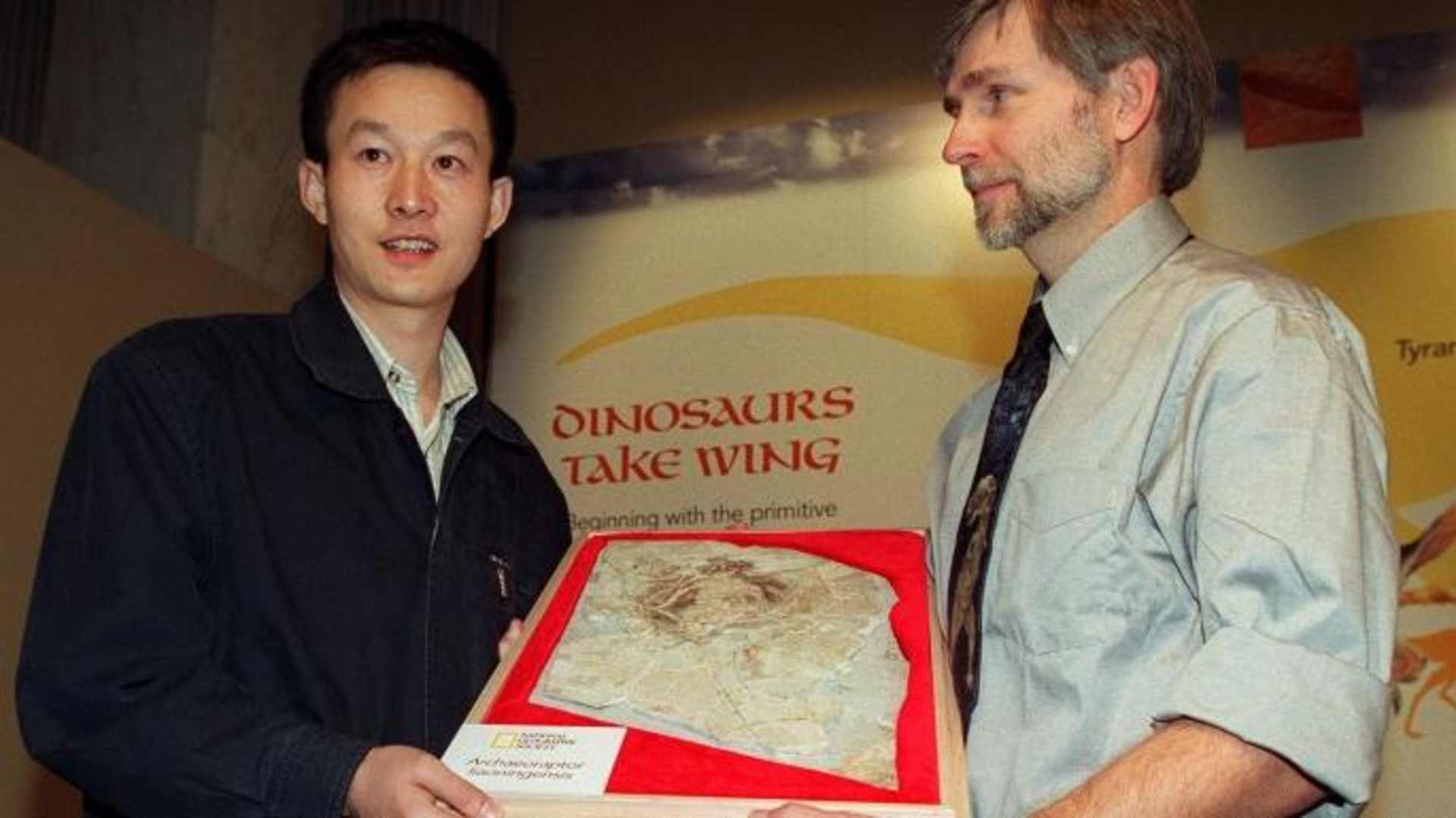 Chinese paleontologist Xu Xing (L) from the Institute of Vertebrate Paleontology and Paleoanthropology of Beijing holds a fossil of a Archaeoraptor with Stephen Czerkas (R), director of the Dinosaur Museum in Blanding. (Credit: TIM SLOAN/Getty Images)