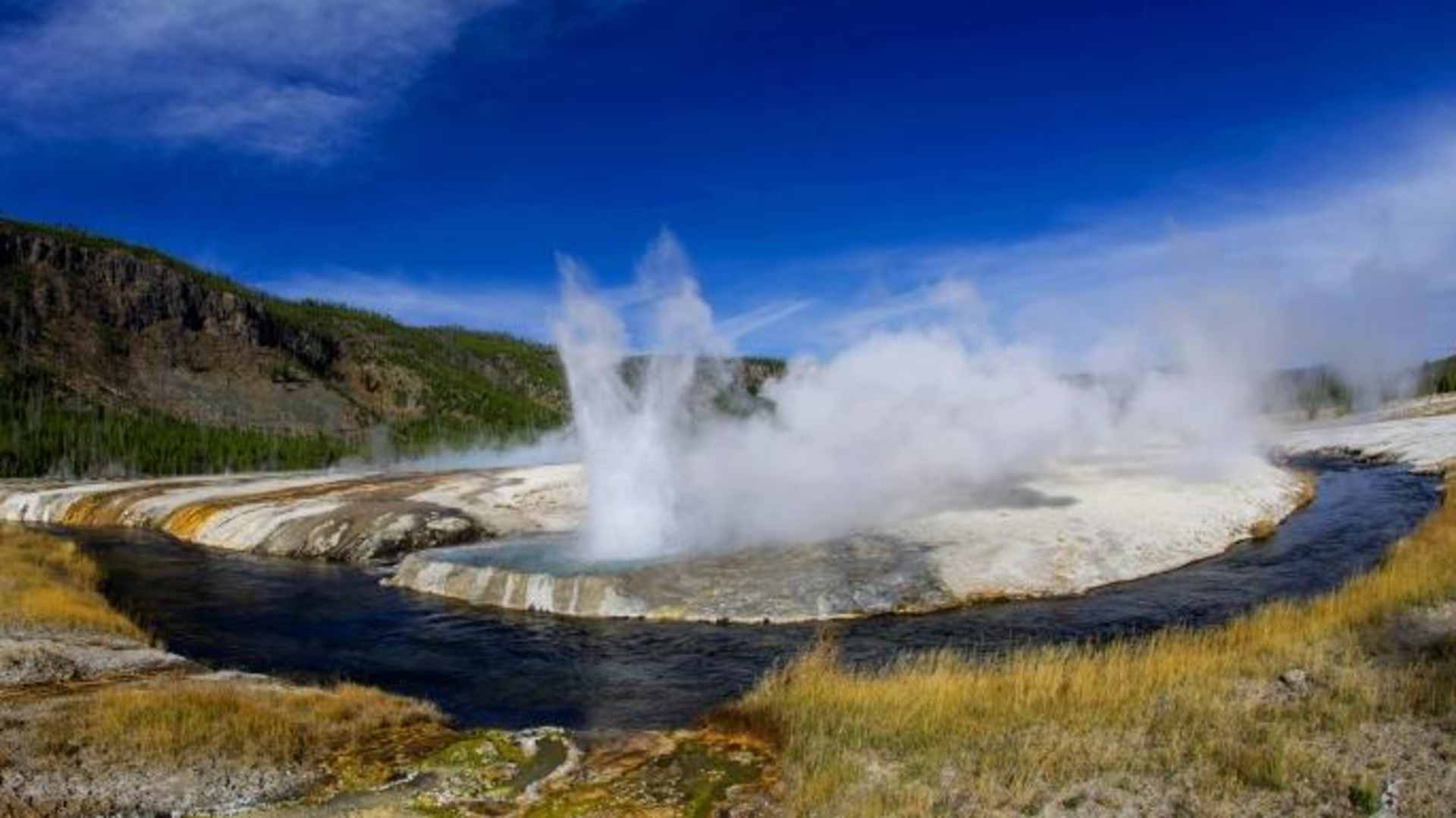 Cliff Geyser along Iron Creek in the Black Sand Basin in Yellowstone National Park in Wyoming.  (Credit: Karen Bleier/Getty Images)