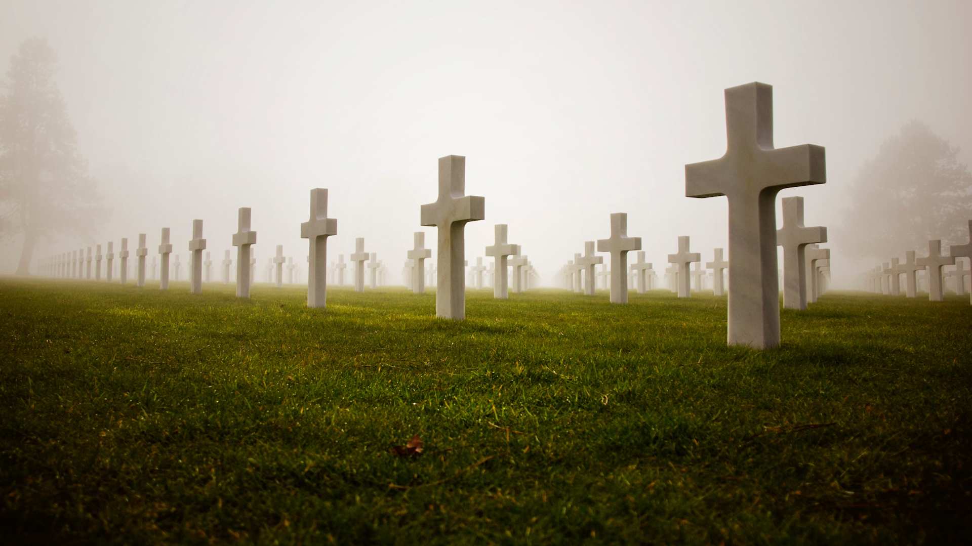 How Many Were Killed on D-Day?