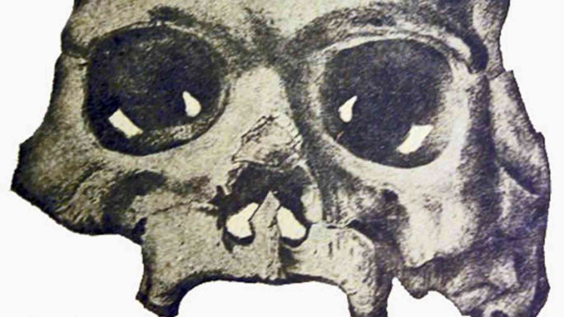 Drawing of the Calaveras Skull. (Credit: Public Domain)