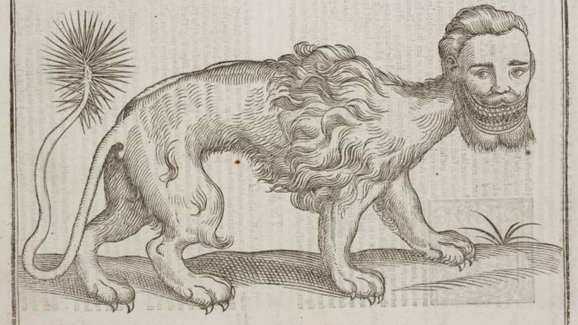ENGLAND - JULY 15: Woodcut of the mythical manticore.